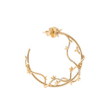 Drop_1_WILDRENESS_PACKSHOT_11