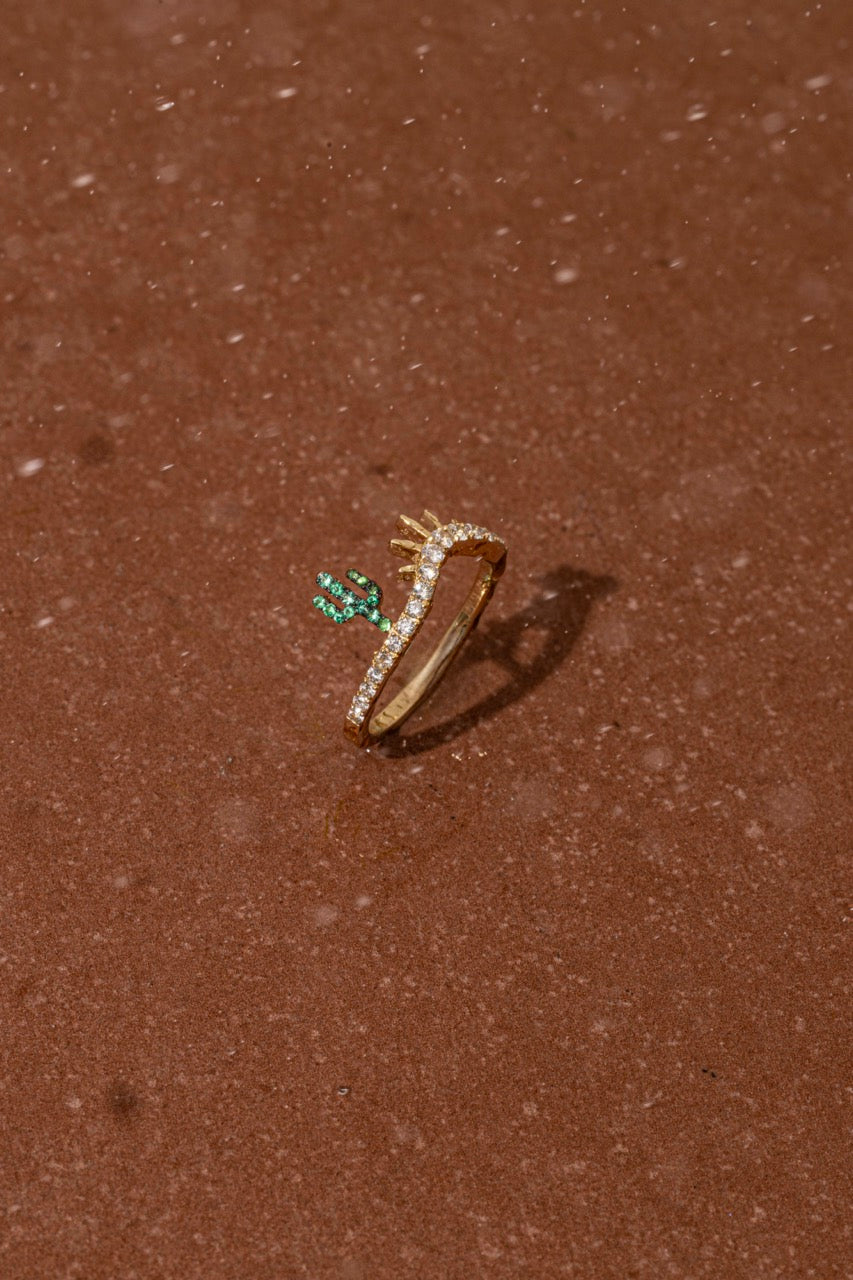 Drop_1_WILDRENESS_PHOTOSHOOT_11