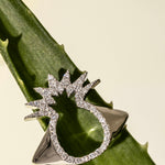 Drop_1_WILDRENESS_PHOTOSHOOT_14