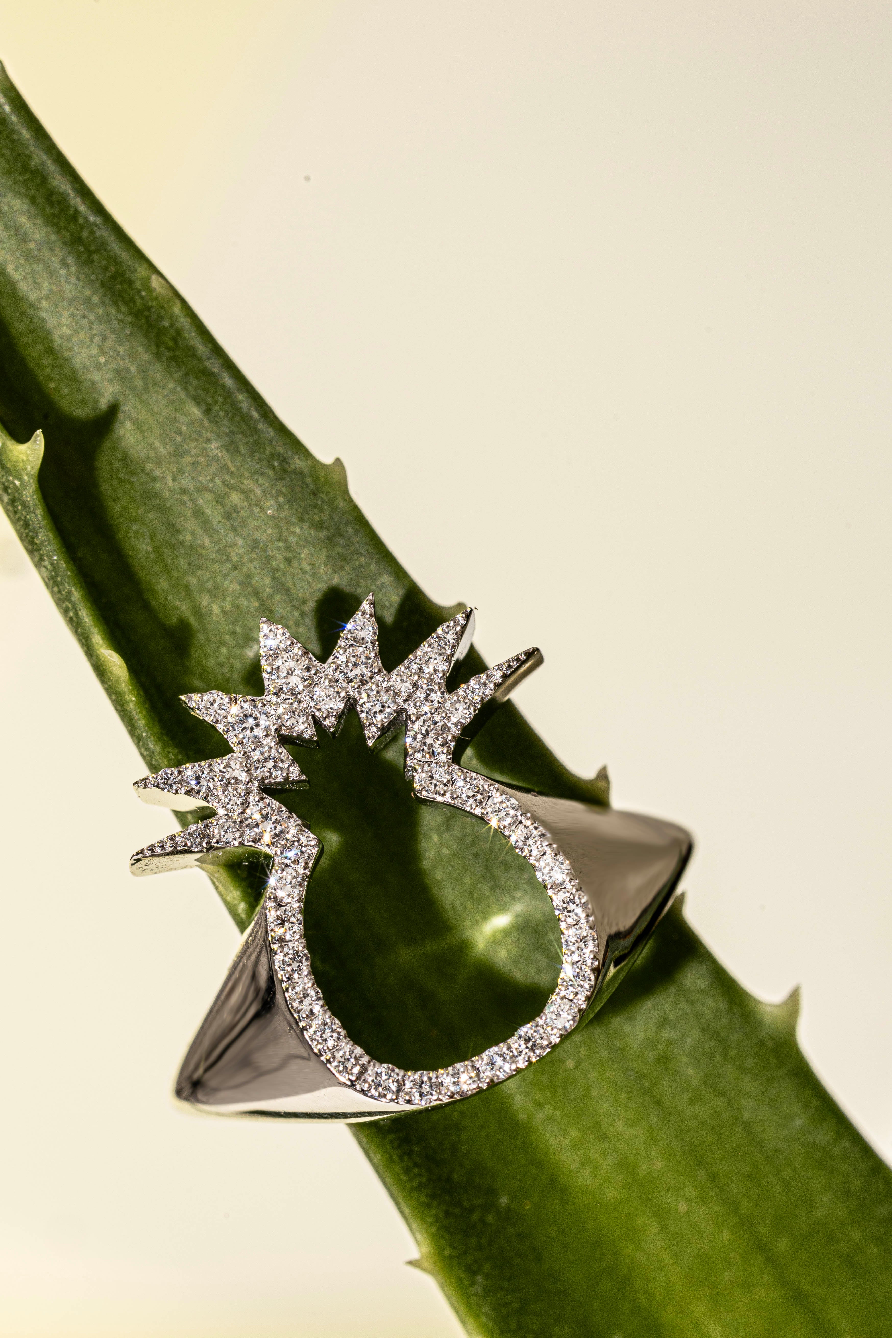 Drop_1_WILDRENESS_PHOTOSHOOT_14