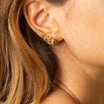 Drop_1_WILDRENESS_PHOTOSHOOT_31