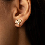 Drop_1_WILDRENESS_PHOTOSHOOT_32