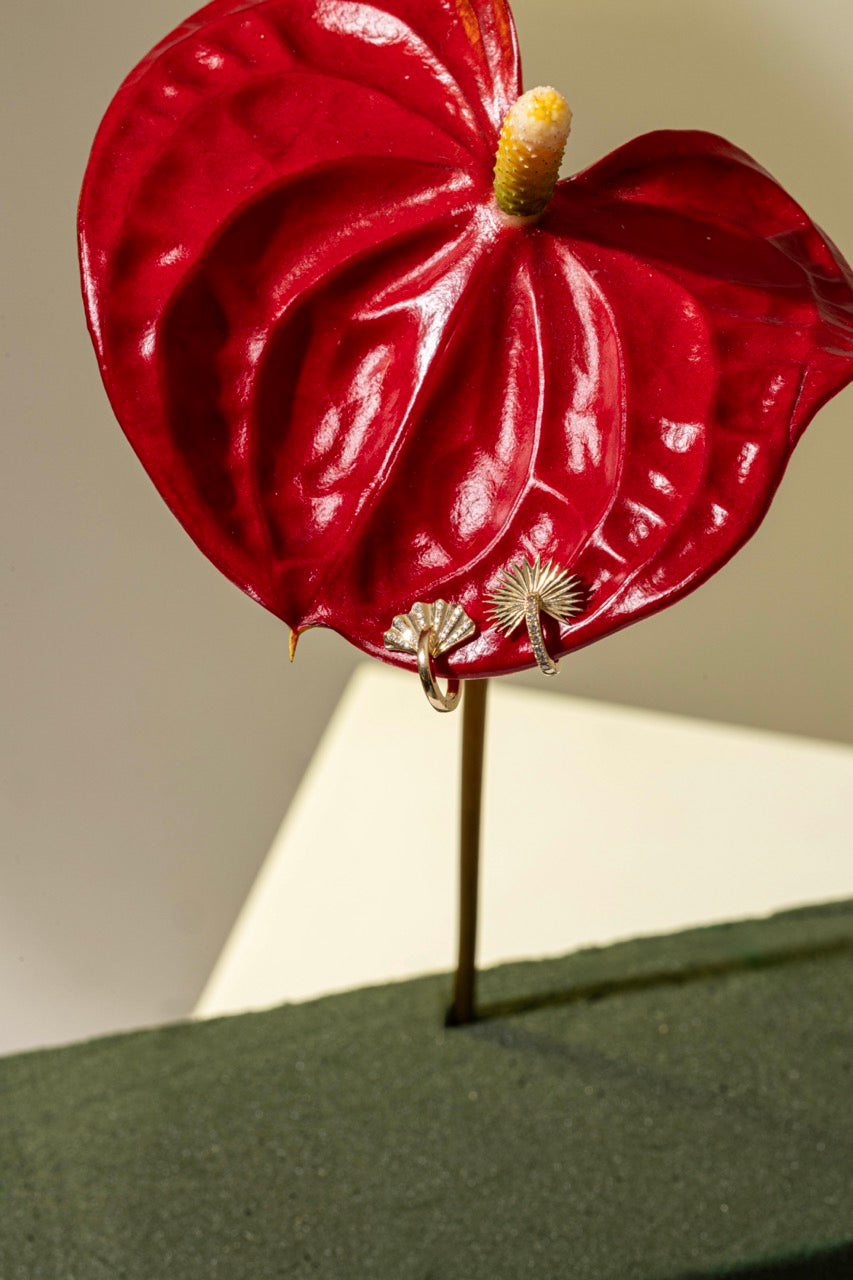 Drop_1_WILDRENESS_PHOTOSHOOT_33