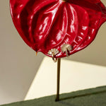 Drop_1_WILDRENESS_PHOTOSHOOT_35