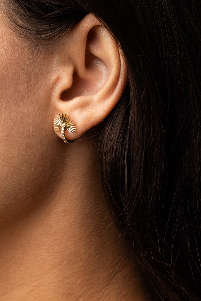 Drop_1_WILDRENESS_PHOTOSHOOT_36