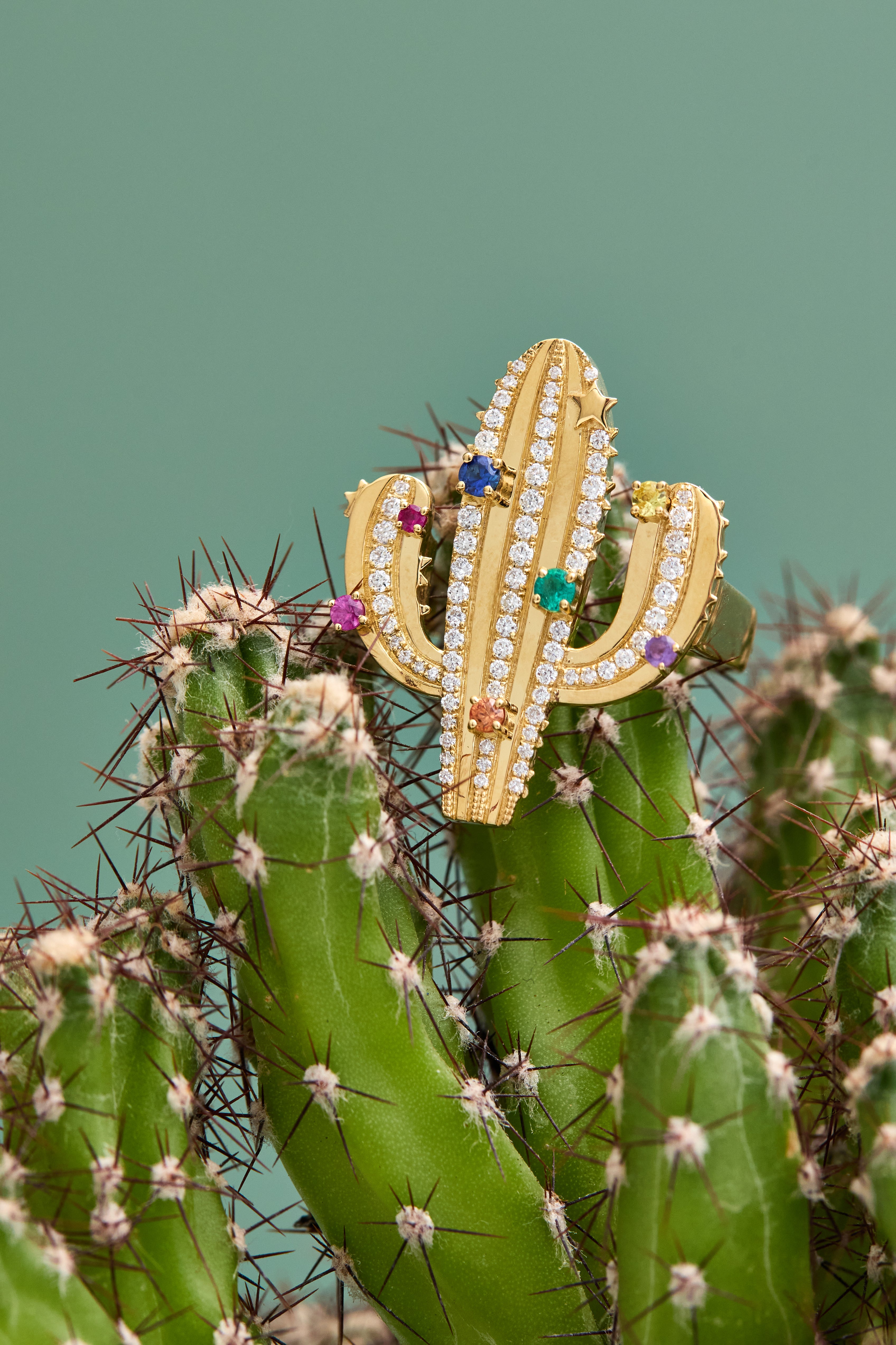 Drop_1_WILDRENESS_PHOTOSHOOT_51