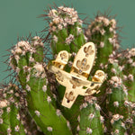 Drop_1_WILDRENESS_PHOTOSHOOT_52