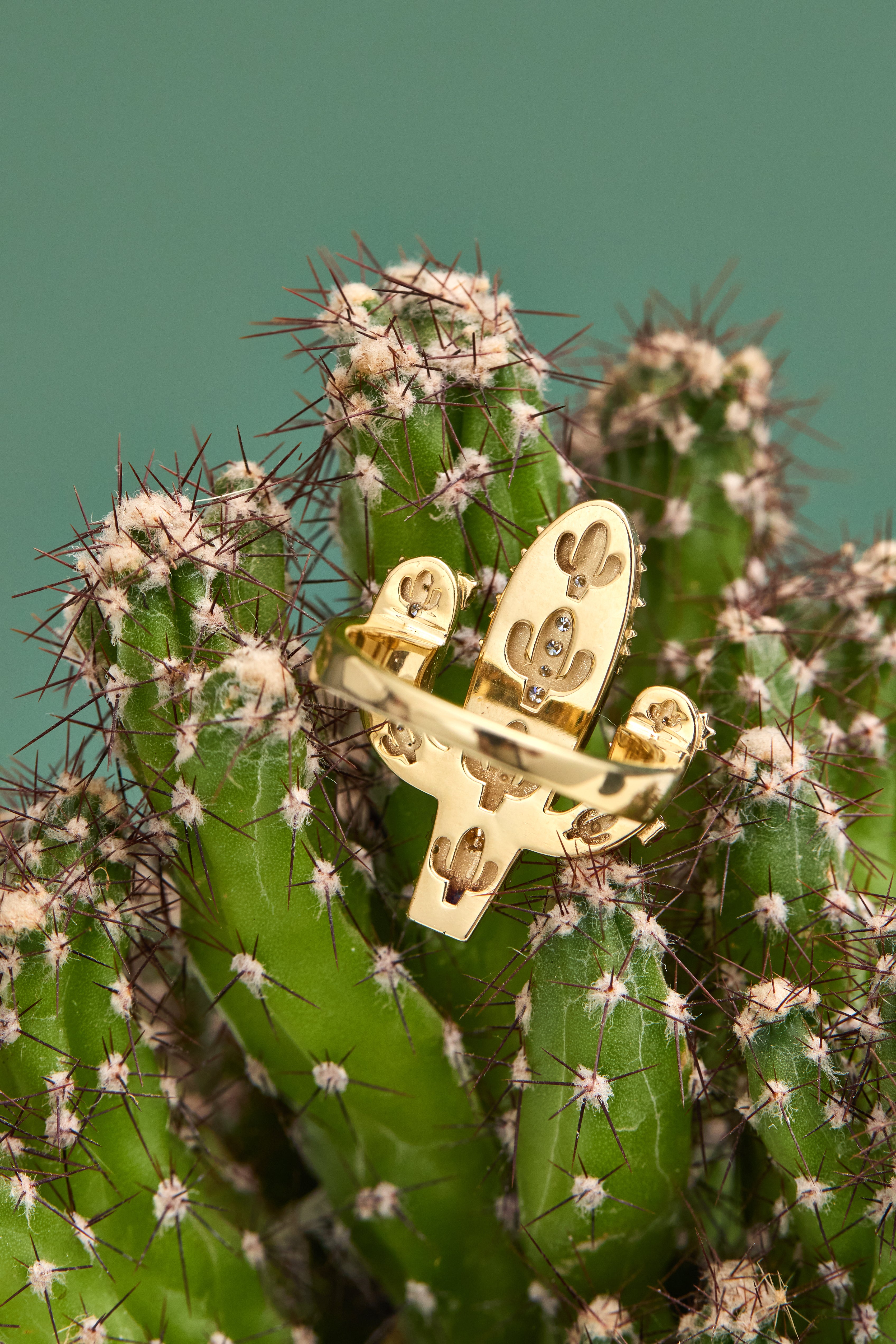 Drop_1_WILDRENESS_PHOTOSHOOT_52